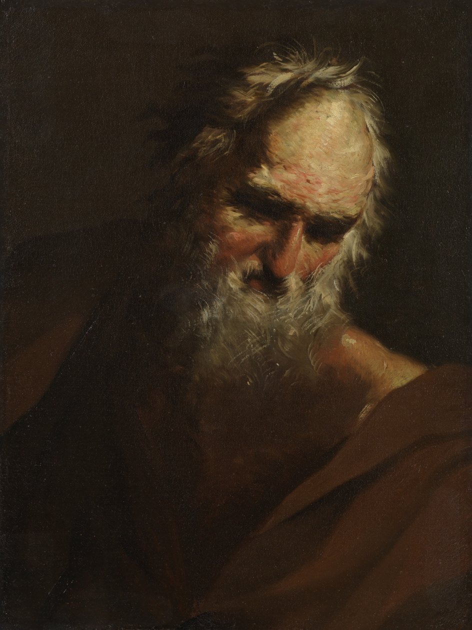 Hoved af en skægget mand, ca. 1640-80 af Salvator Rosa