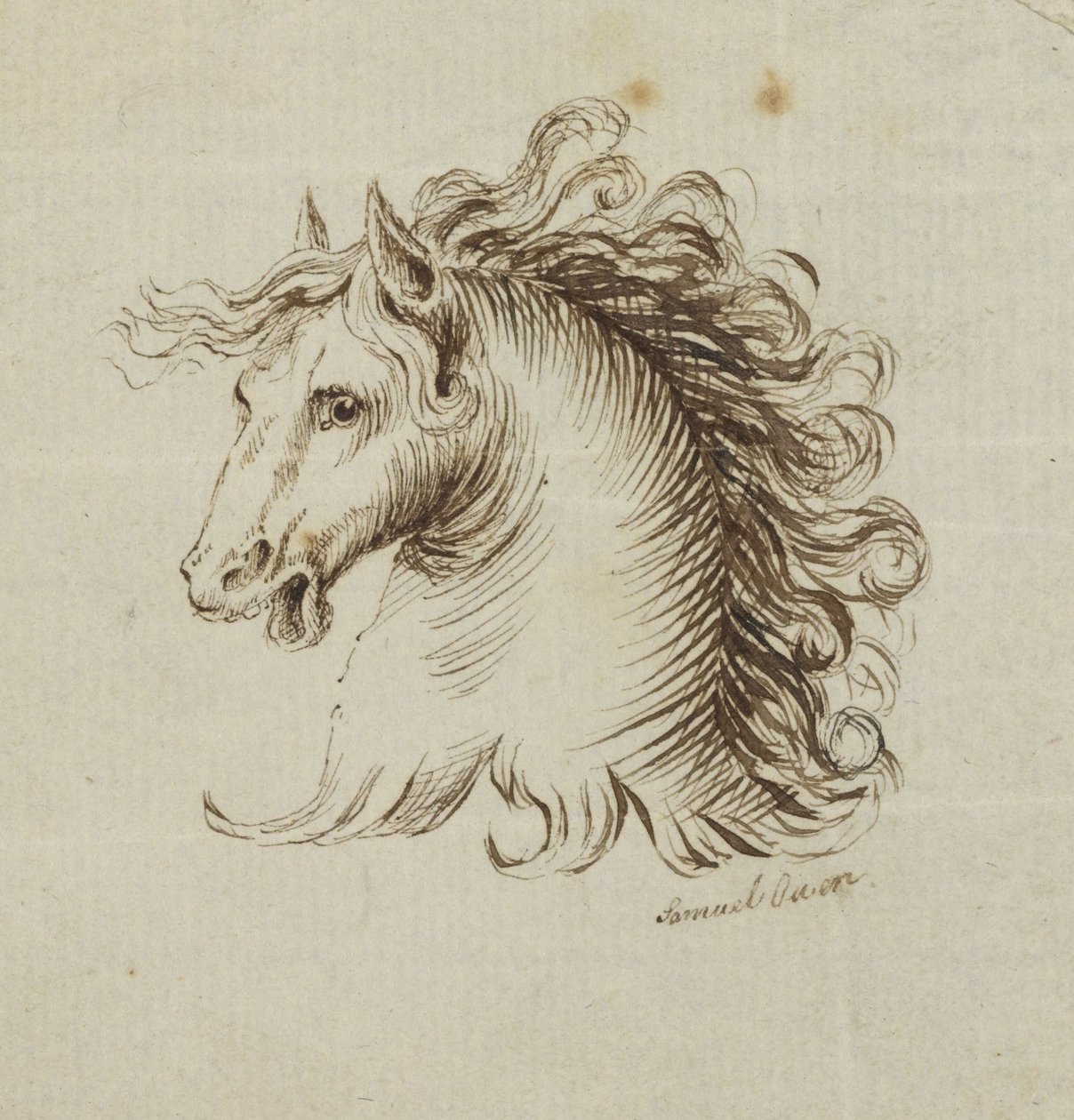 (Hestens hoved) af Samuel H. Owen