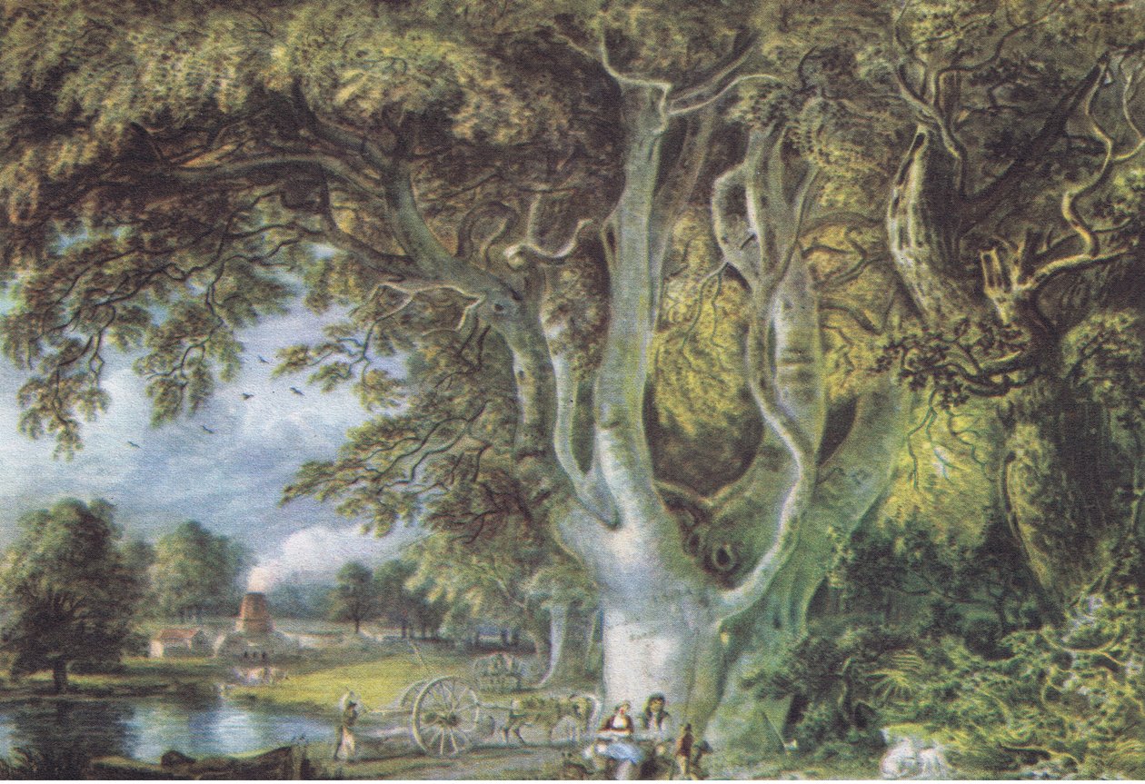 Oak Trees, Shoreham, Kent, Nature in Britain udgivet af Collins, 1946 af Samuel Palmer