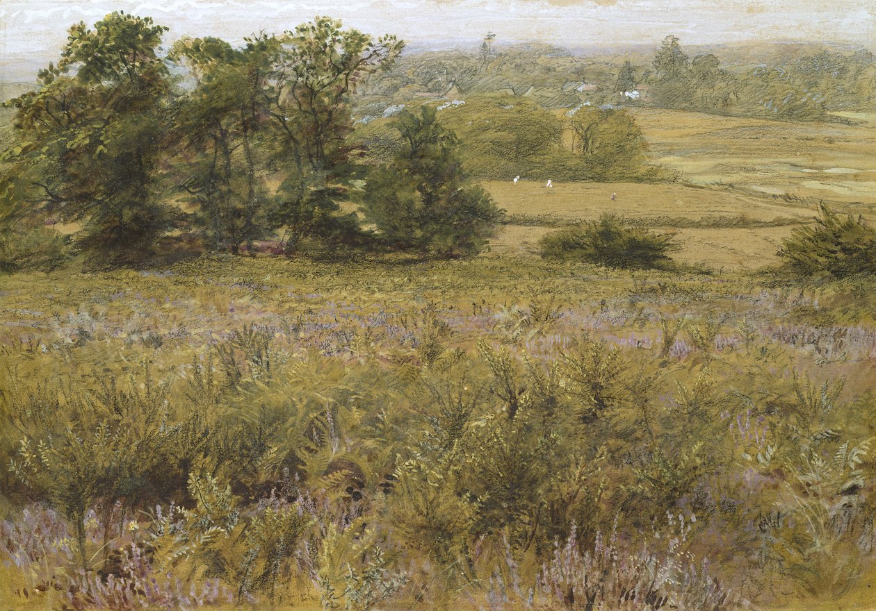 The Furze Field, 1800-tallet (akvarel) af Samuel Palmer