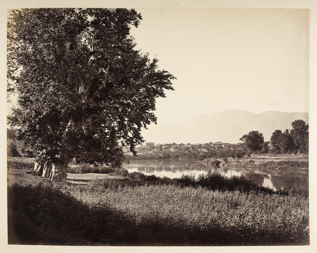 Beej Bihara var Jhelum af Samuel Bourne