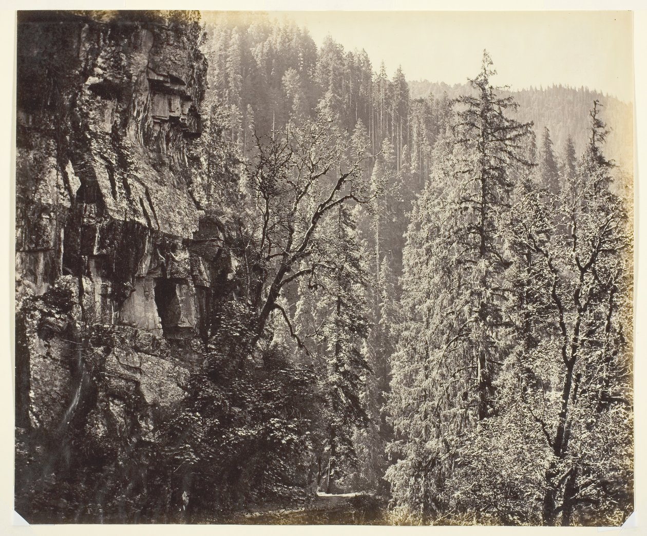 Uden titel [klipper og træer], ca. 1865. af Samuel Bourne