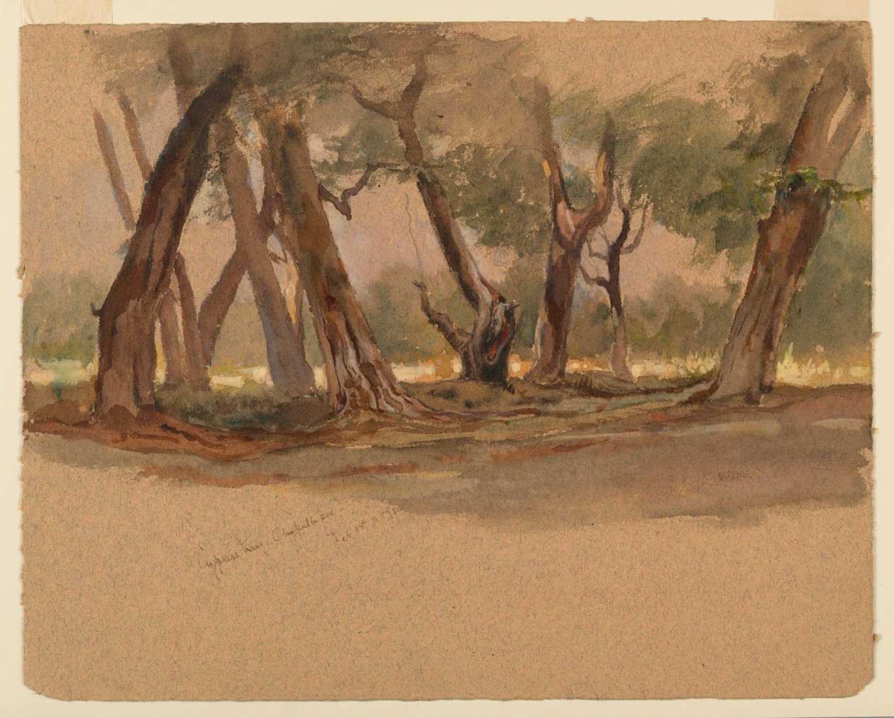 Cyprestræer, Chapultepec, Mexico af Samuel Colman