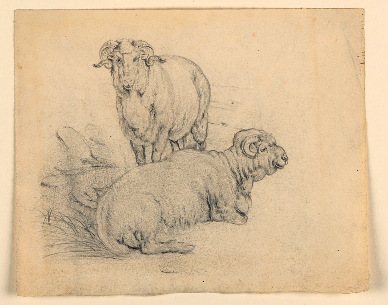 Tegning, studie. To væddere, ca. 1850 af Samuel Colman