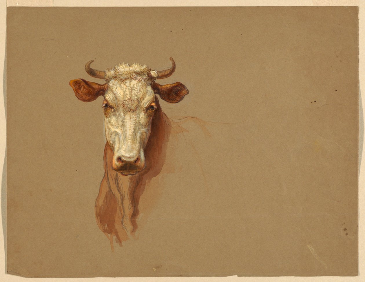 Tegning, to studier.  Kvæg, 1876 af Samuel Colman