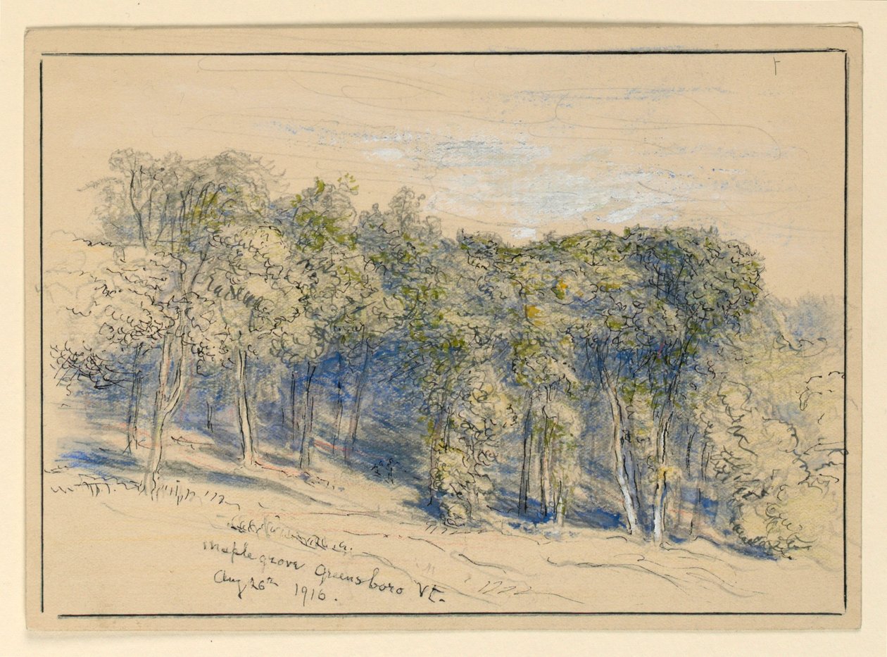 Undersøgelse af Maple Grove, Greensboro, Vermont af Samuel Colman