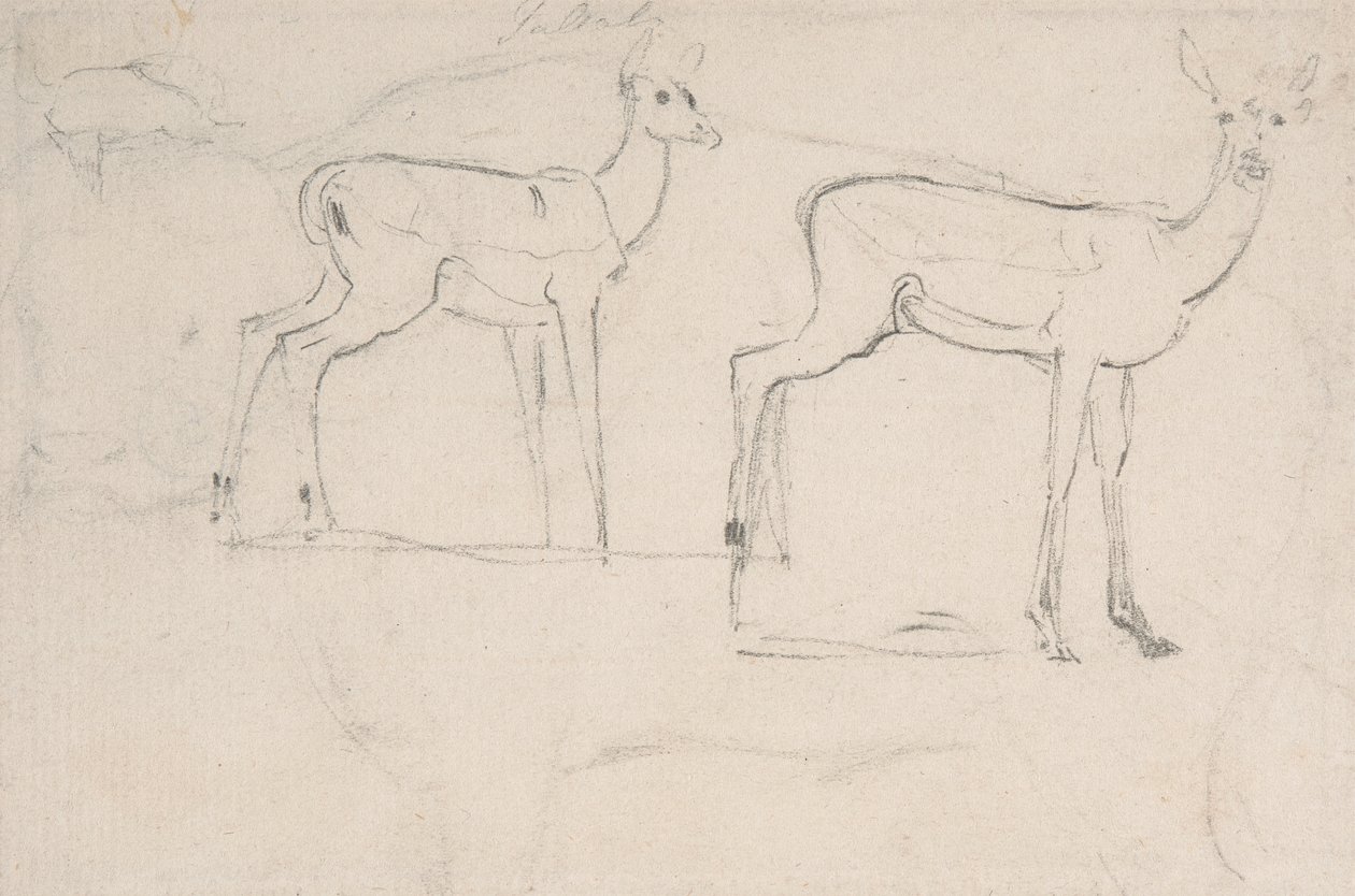 Undersøgelse for to stående Pallah-hjort af Samuel Daniell