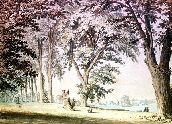 Træer ved Themsen over for Hammersmith af Samuel Hieronymous Grimm