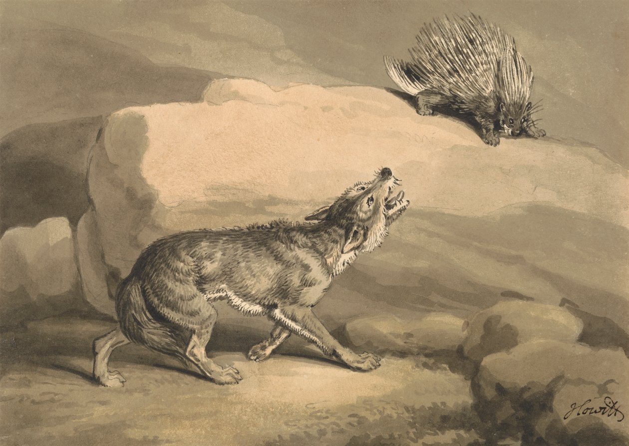 Ræven og pindsvinet (Pindsvin) af Samuel Howitt