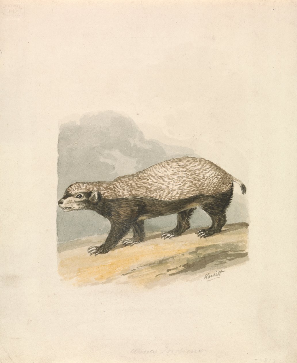 Honninggrævling af Samuel Howitt