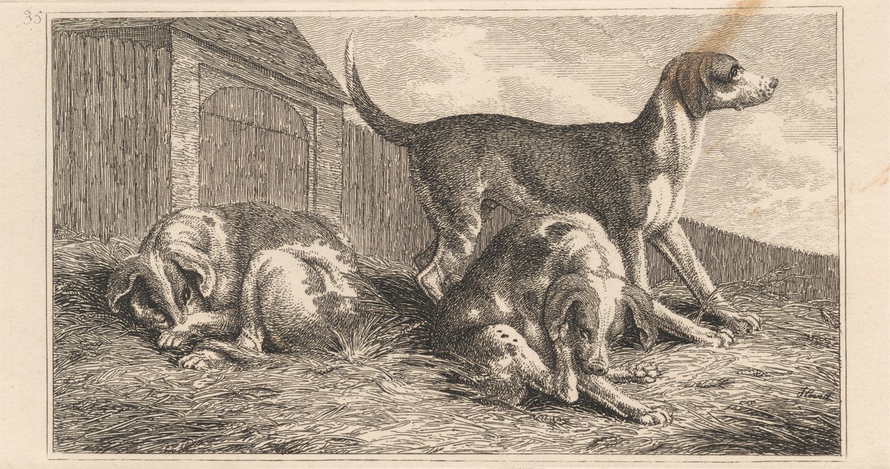 Tre Hunde af Samuel Howitt