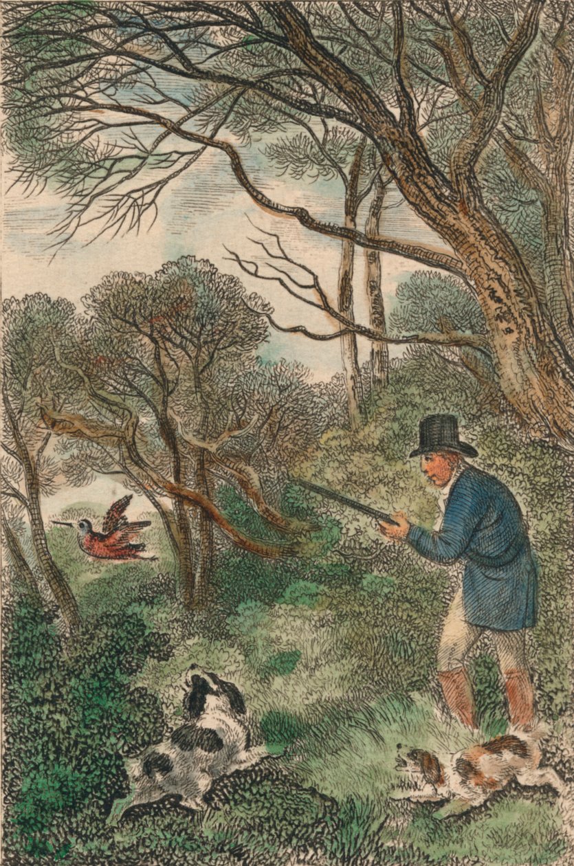 Skovsneppeskydning, 1819. af Samuel Howitt