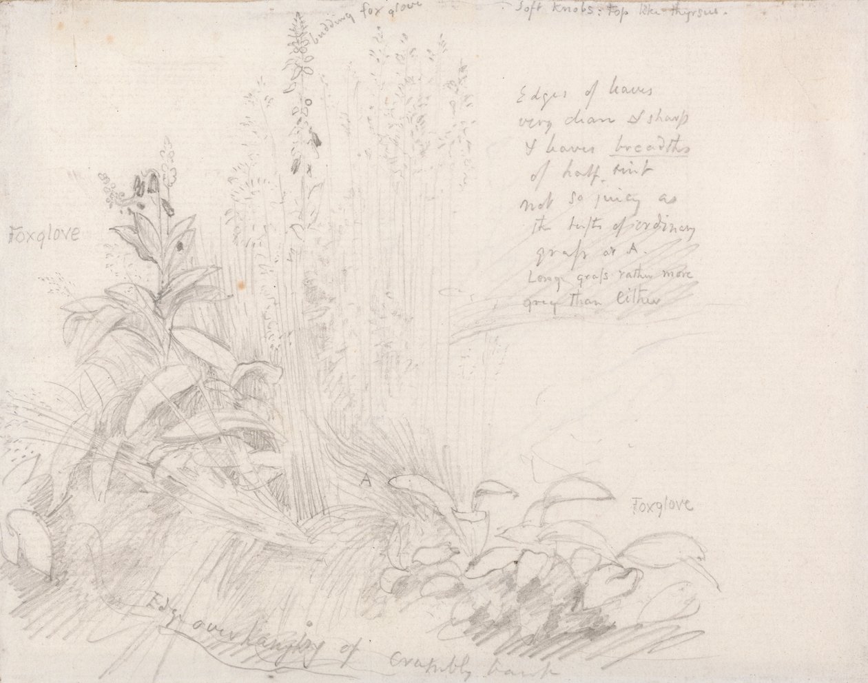 Rævehandsker af Samuel Palmer