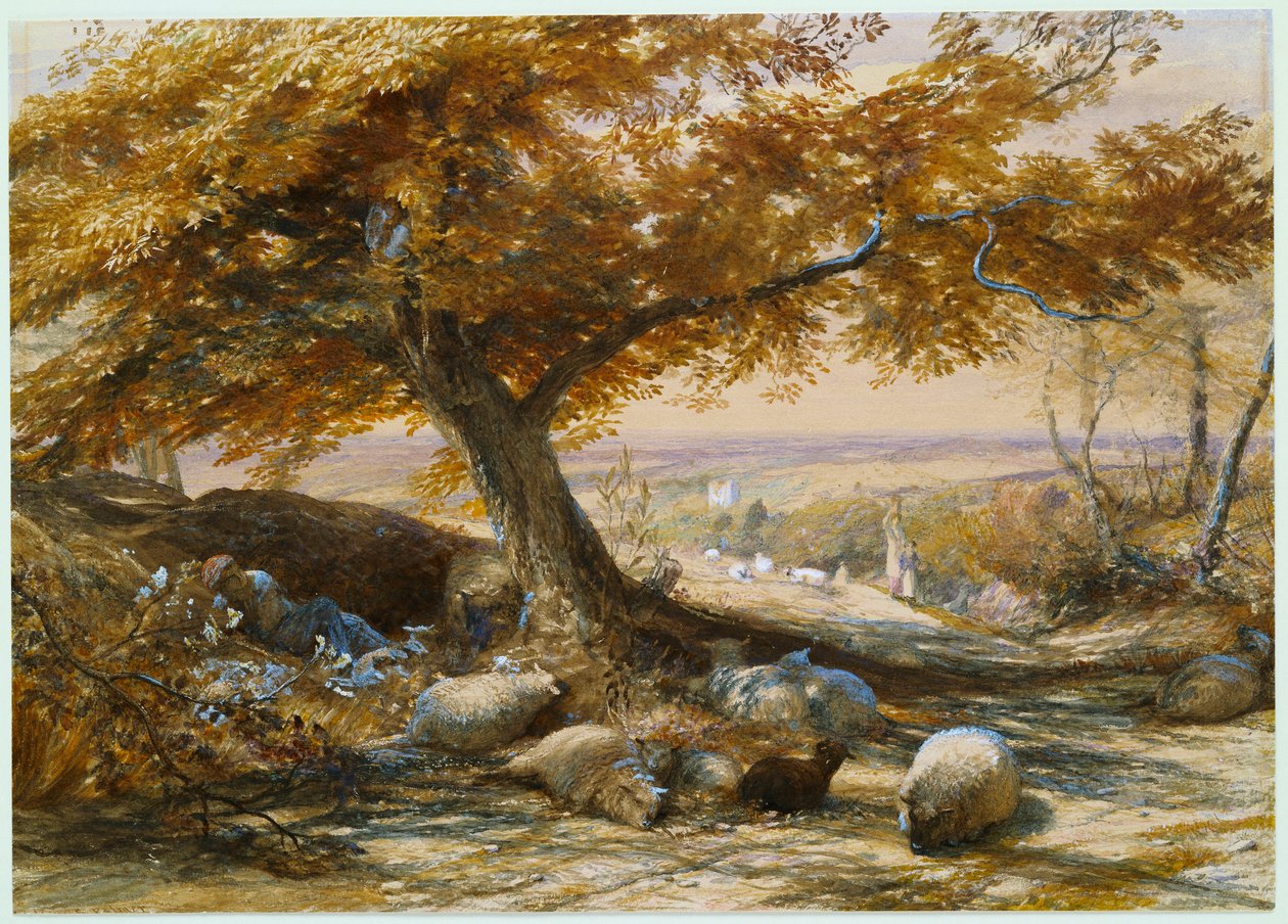 Får i skyggen, ca. 1851 af Samuel Palmer