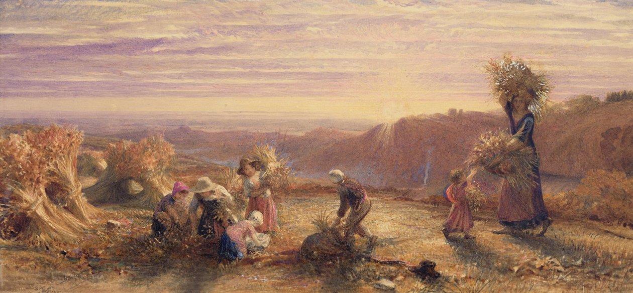 Solnedgang over gleaning Fields af Samuel Palmer