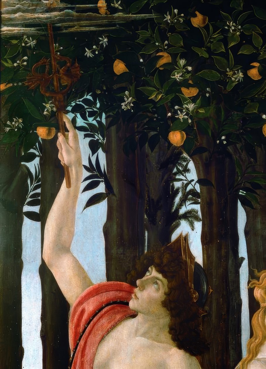 Forår af Sandro Botticelli