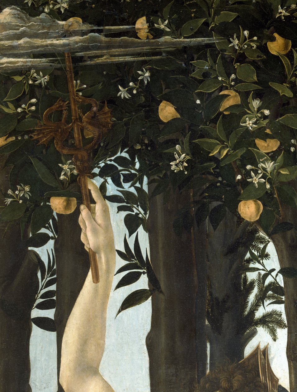 Primavera, ca. 1478, tempera på paneldetalje af 558 af Sandro Botticelli