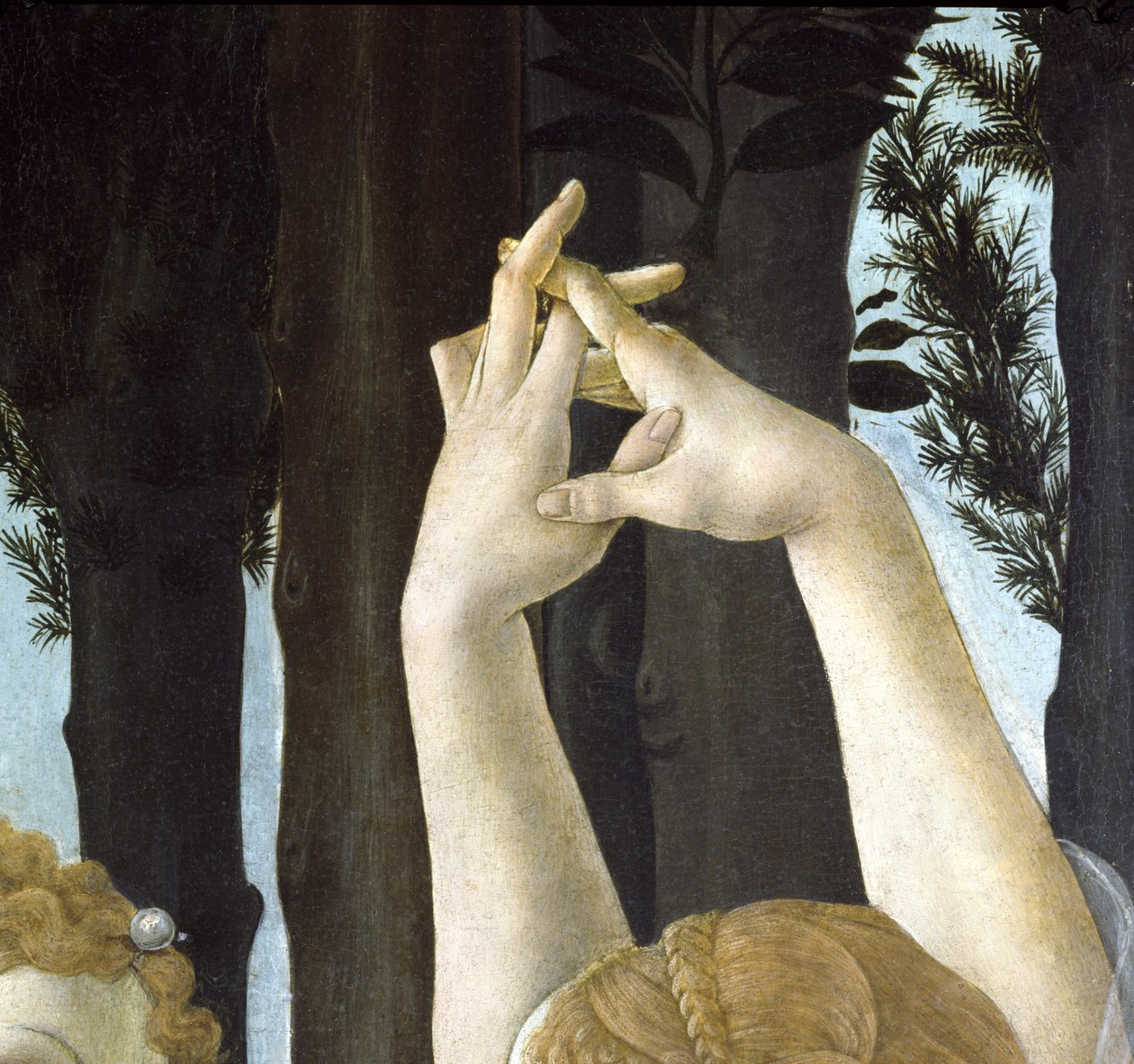 Primavera, ca. 1478, tempera på paneldetalje af 558 af Sandro Botticelli