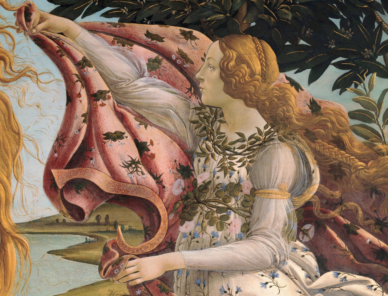 Venus