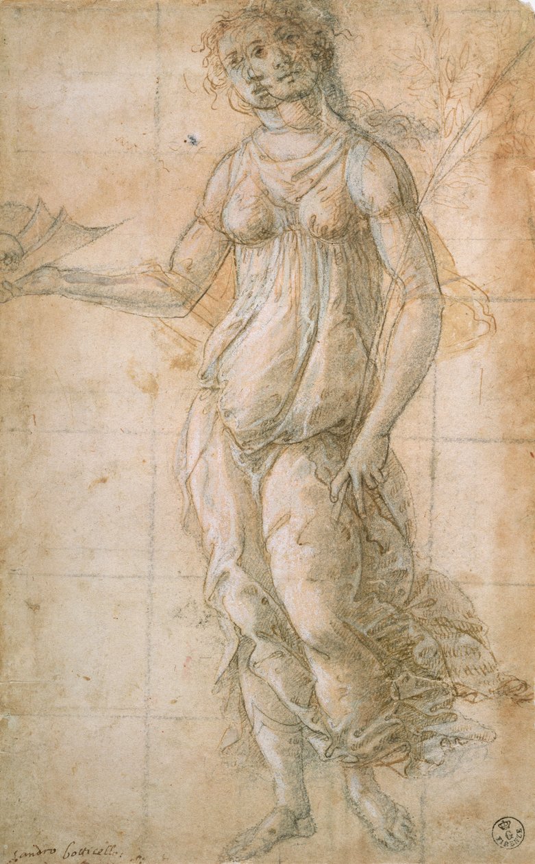 Studie af Athene (tegning) af Sandro Botticelli