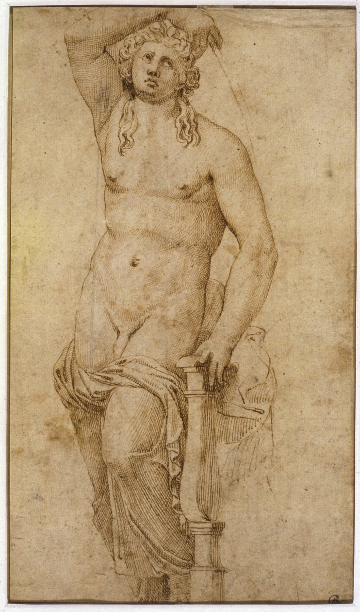 Apollo af Raffaello Sanzio Raphael