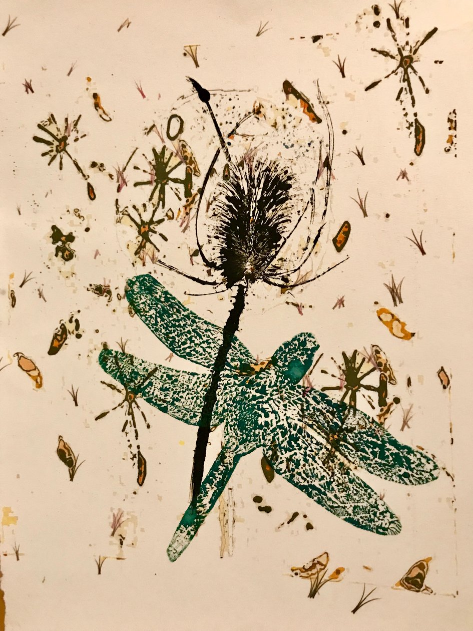Teasel (monoprint på papir) af Sarah Thompson Engels