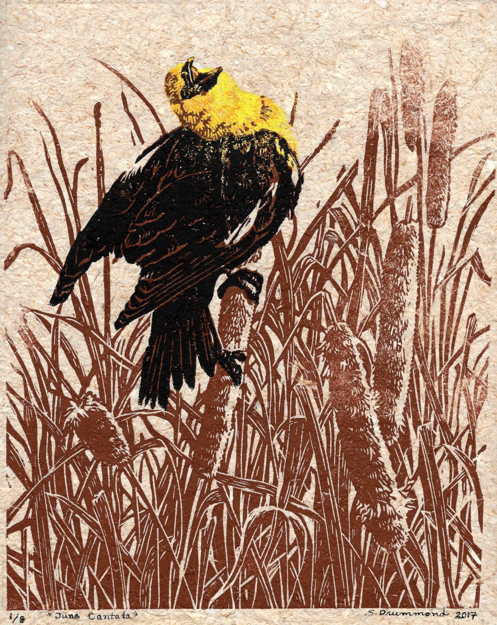 Kattehale-kantate, 2017 (linoleumssnit) af Sarah Drummond