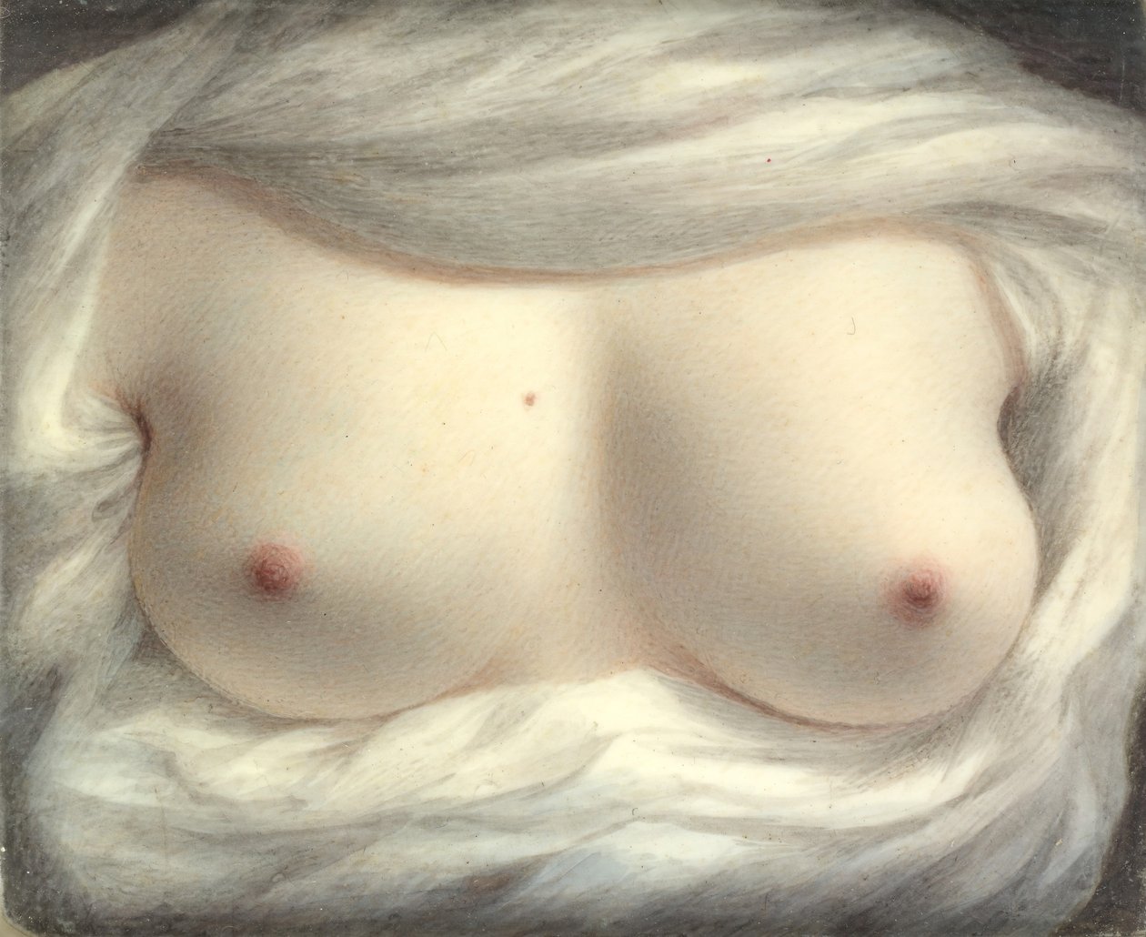 Skønhed afsløret, 1828. af Sarah Goodridge