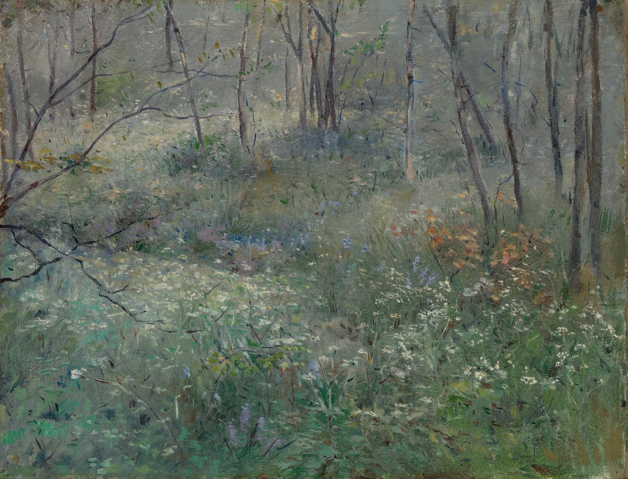 Vild persille, 1900. af Sarah Paxton Ball Dodson