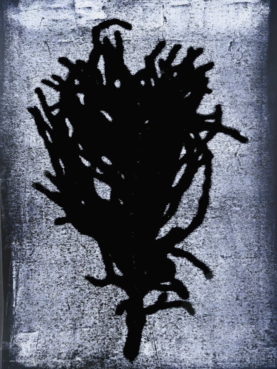 Sort bregne 2020 (monoprint) af Sarah Thompson Engels