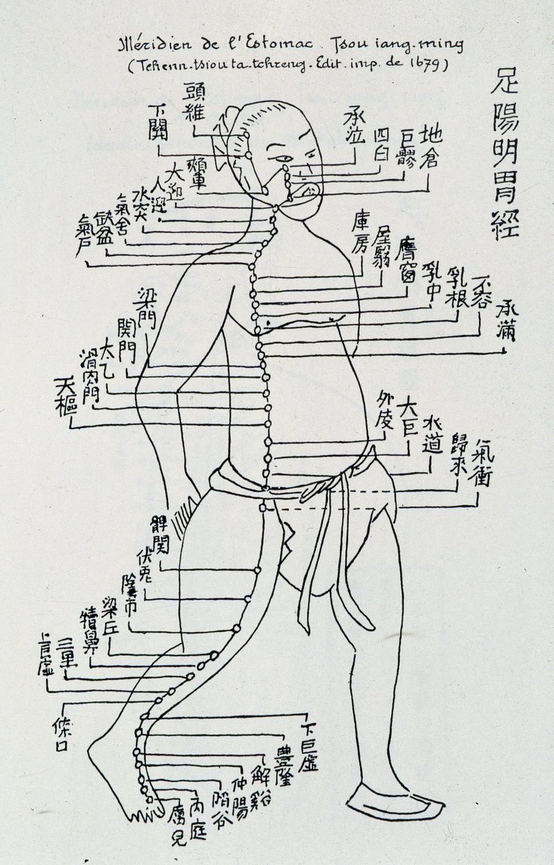 Akupunktur: "" Meridian af maven"", red. af School Chinese