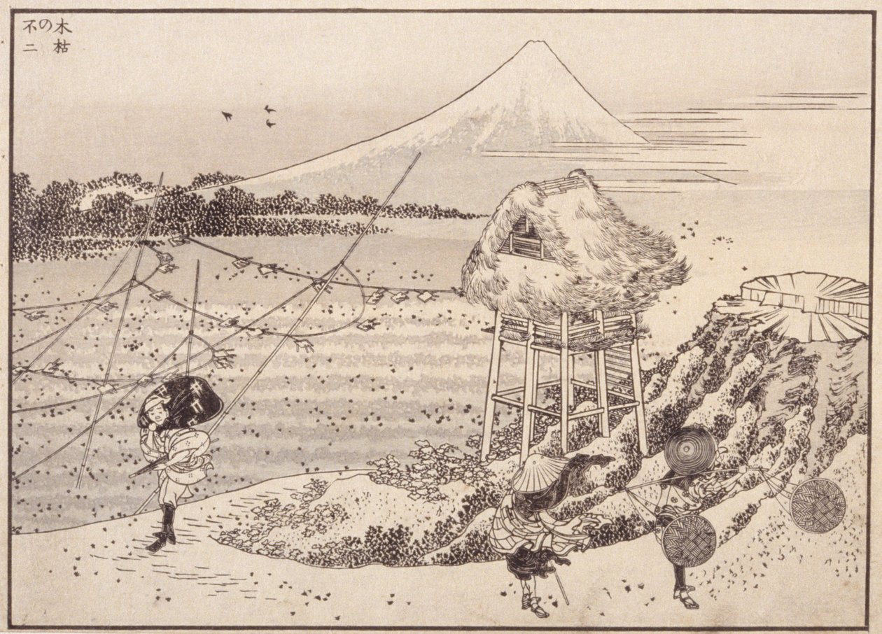 Efterårsvinde, Fuji i afstand af School Japanese