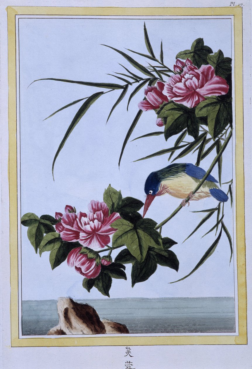 Kingfisher - japansk print af Japanese School