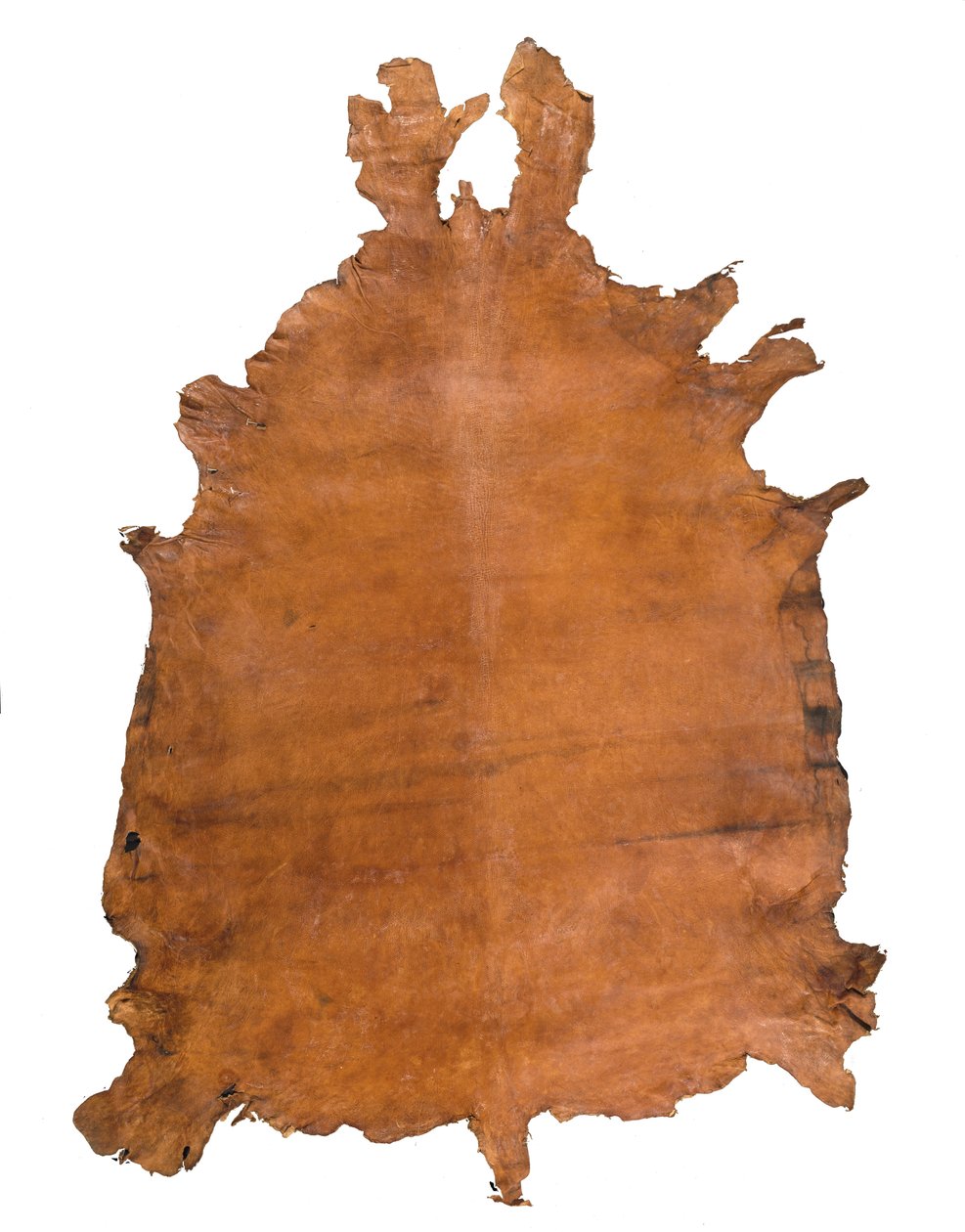 Dyreskjul, ca. 1786 (læder) af School Russian