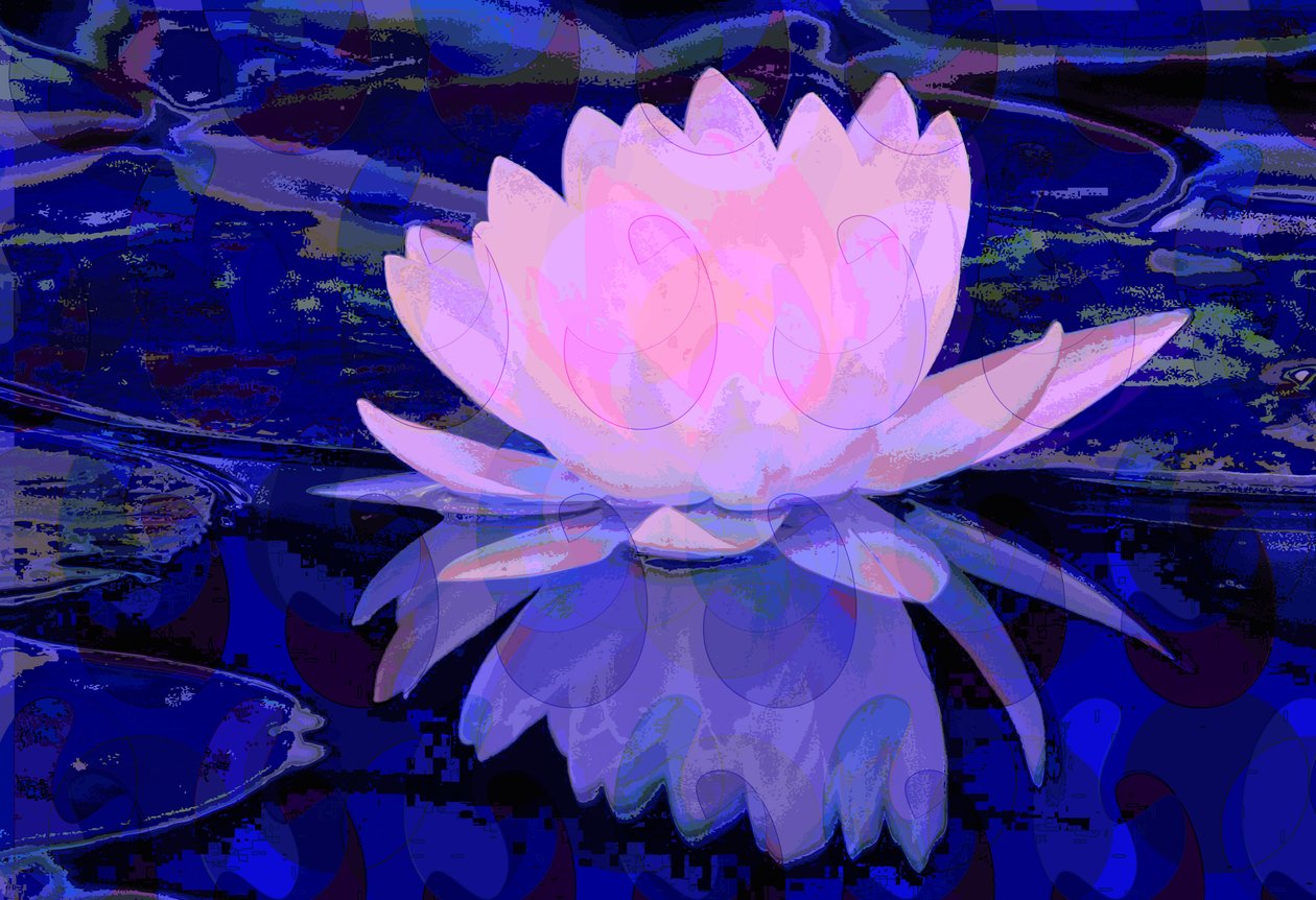 Pink Water Lily (digital) af Scott J. Davis