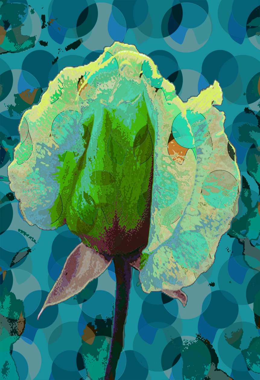 Tea Rose 2 (digital) af Scott J. Davis