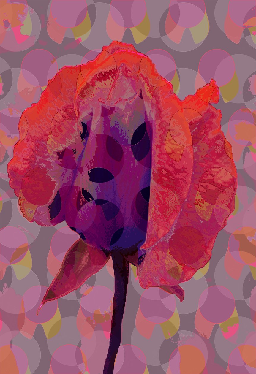 Tea Rose 3 (digital) af Scott J. Davis