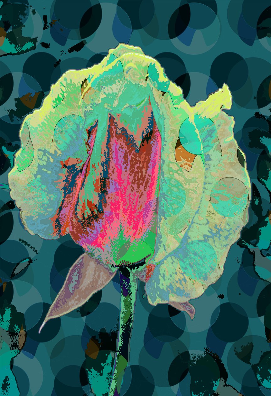 Tea Rose 4 (digital) af Scott J. Davis