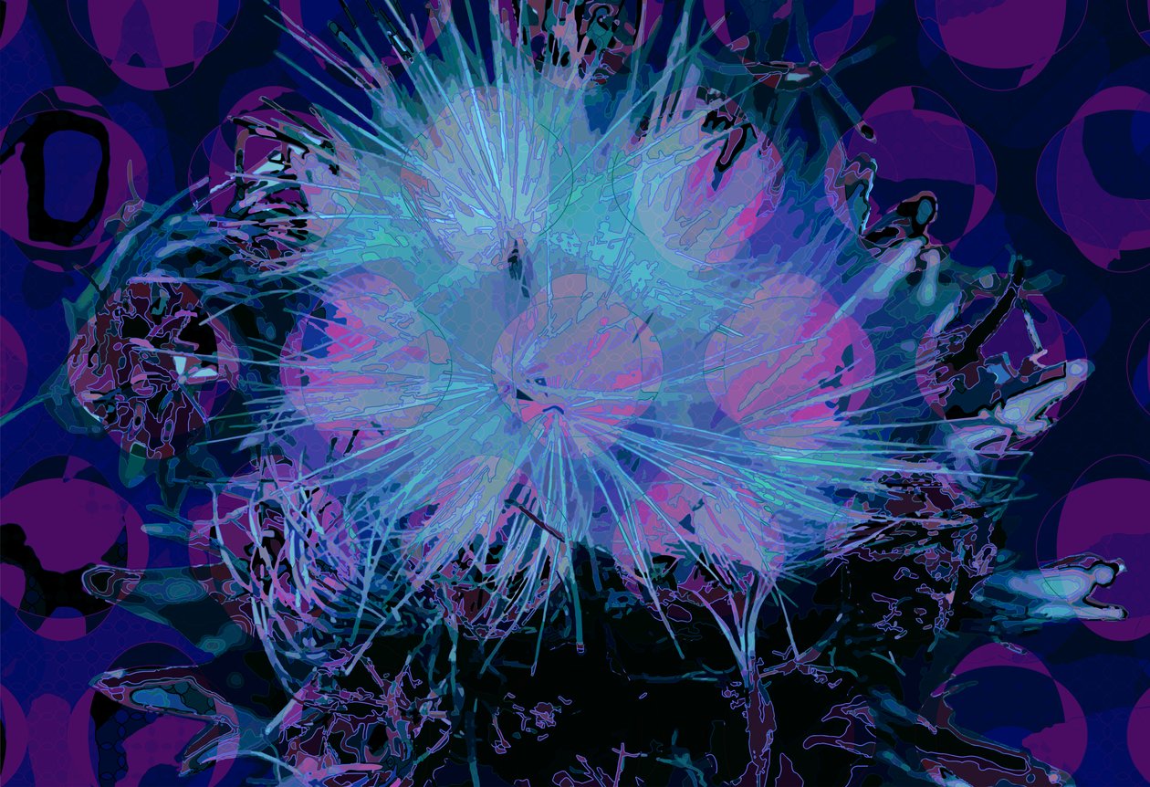 Artiskok (digital) af Scott J. Davis