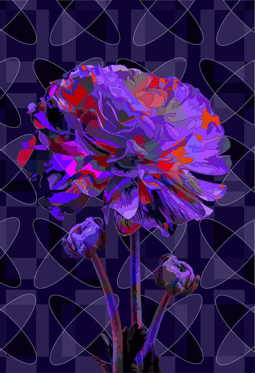 Nellik2, 2019 af Scott J. Davis