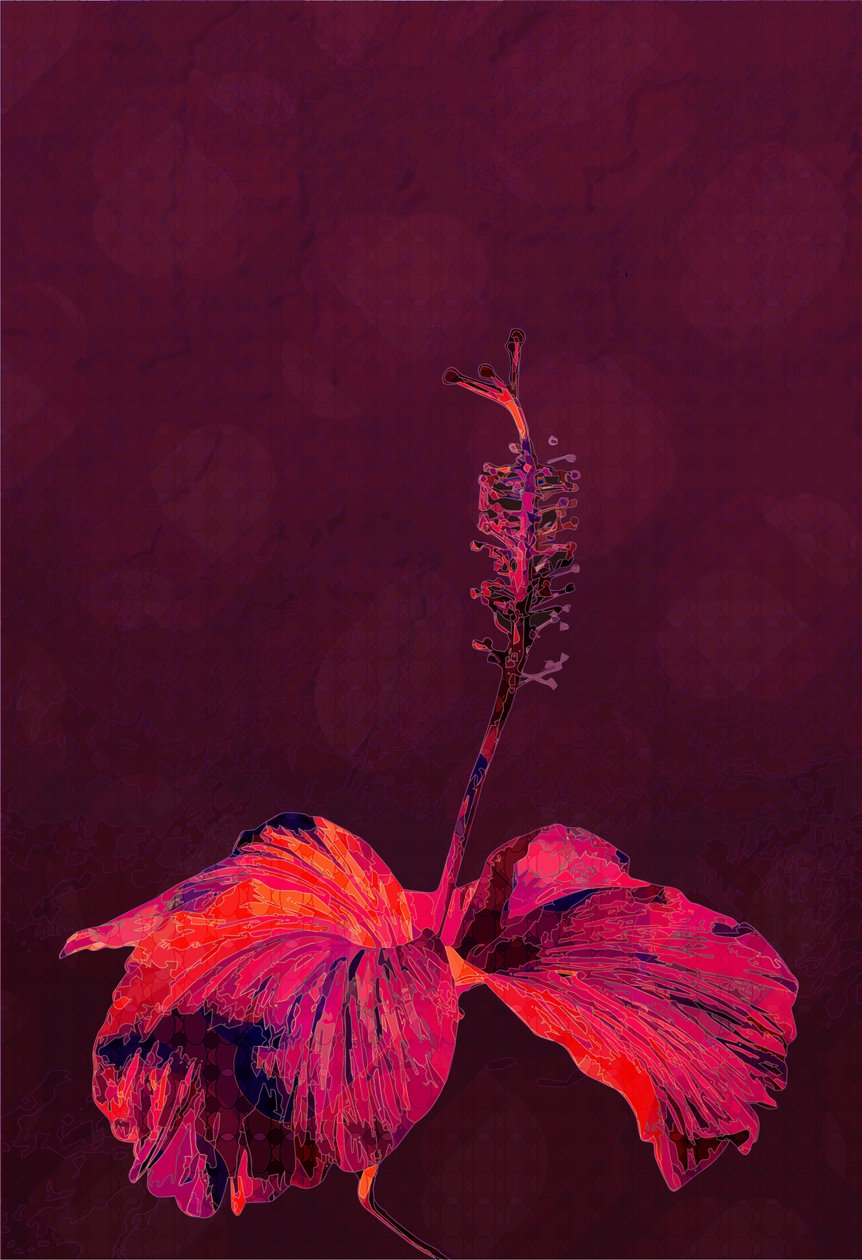 Hibiscus, 2019 af Scott J. Davis