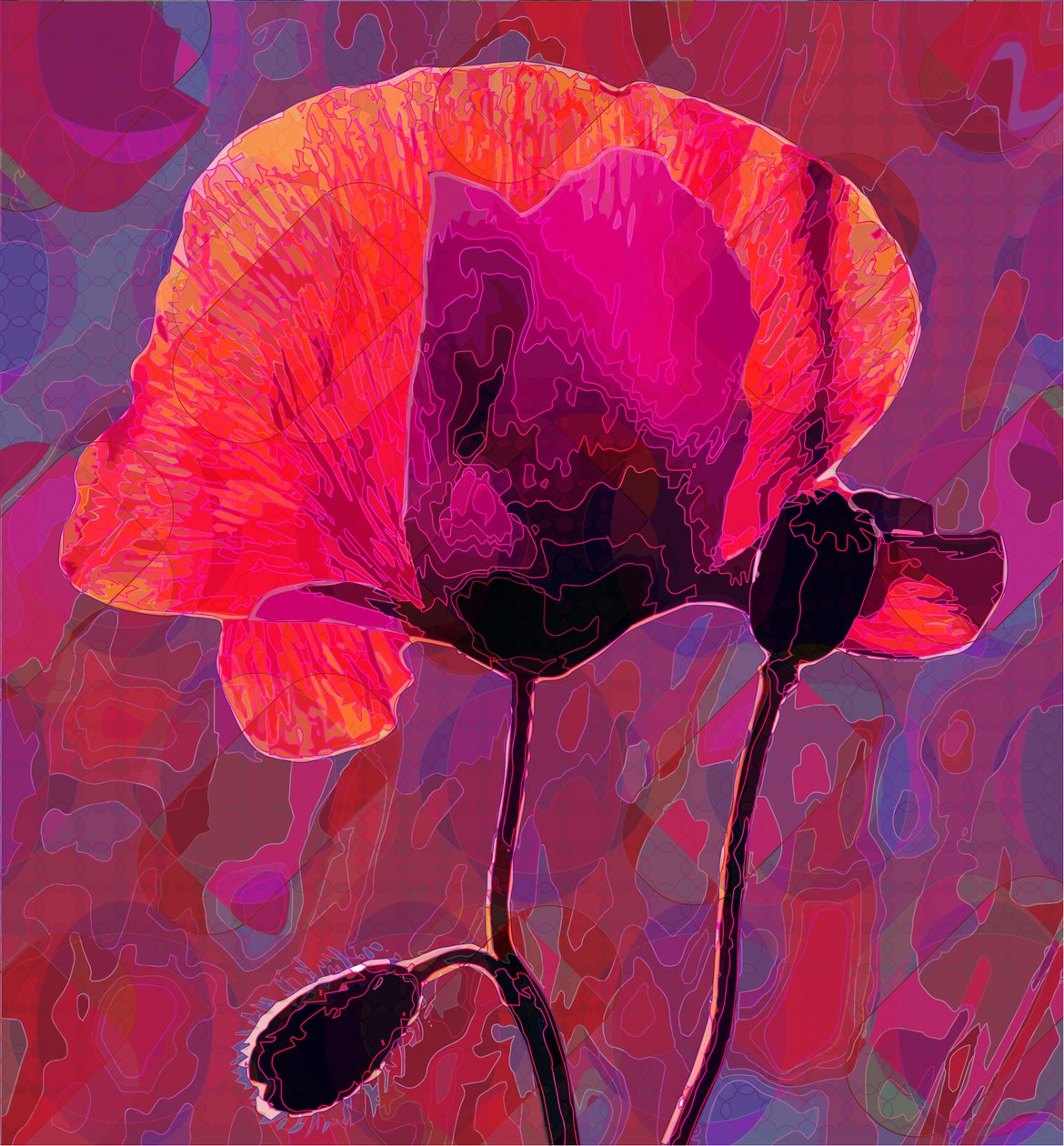 Poppy20, 2020 af Scott J. Davis