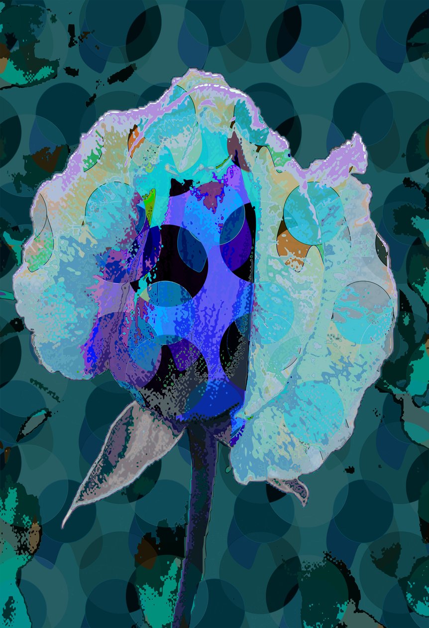 Tea Rose 5B (digital) af Scott J. Davis