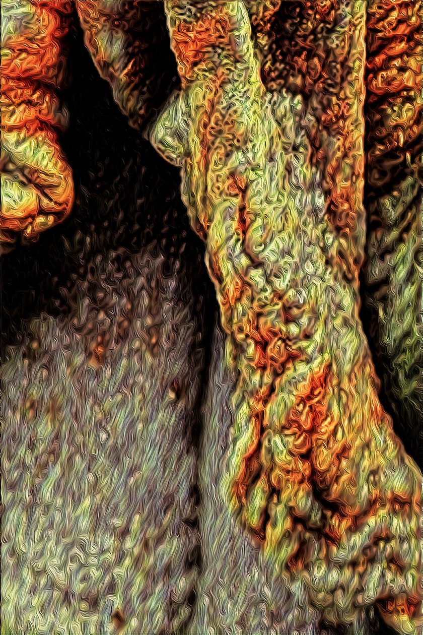 Træstamme, 2021 (digital) af Scott J. Davis