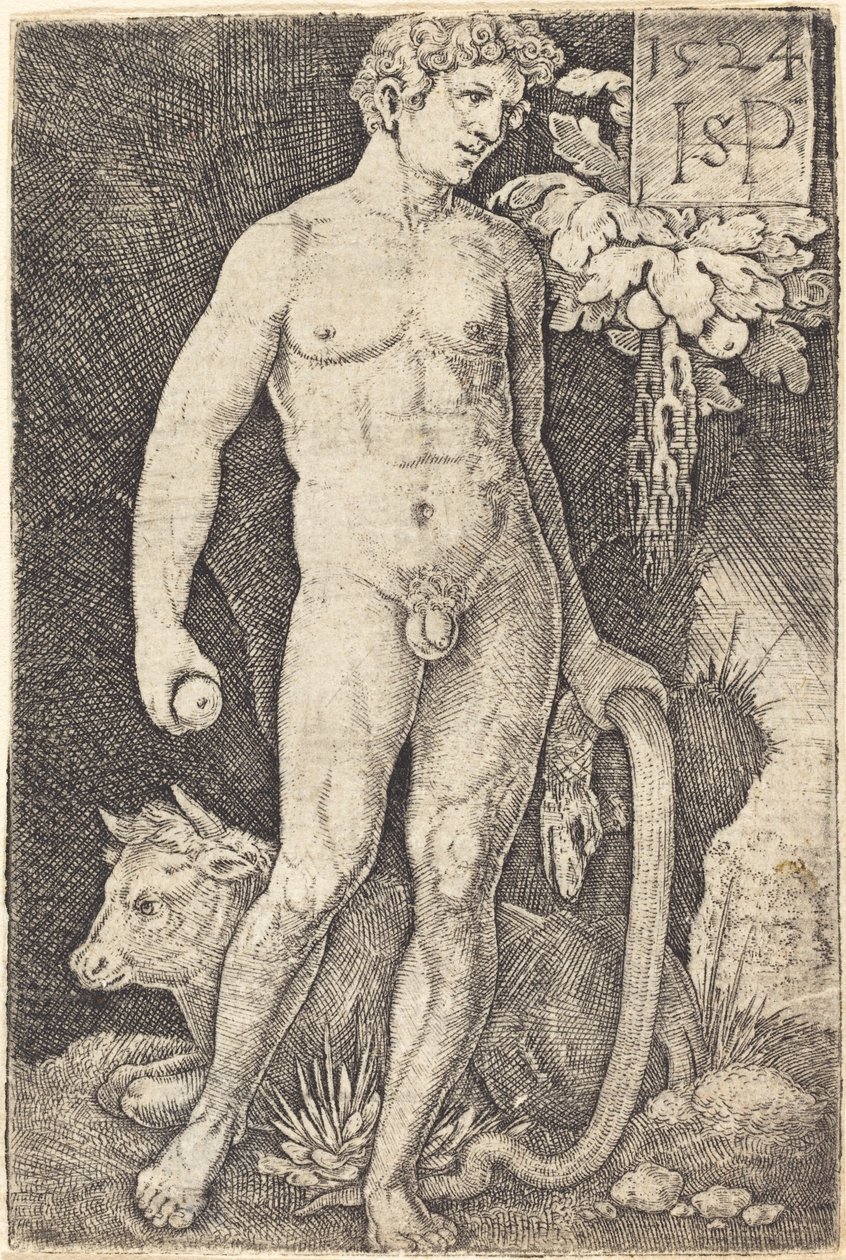 Adam stående af Sebald Beham