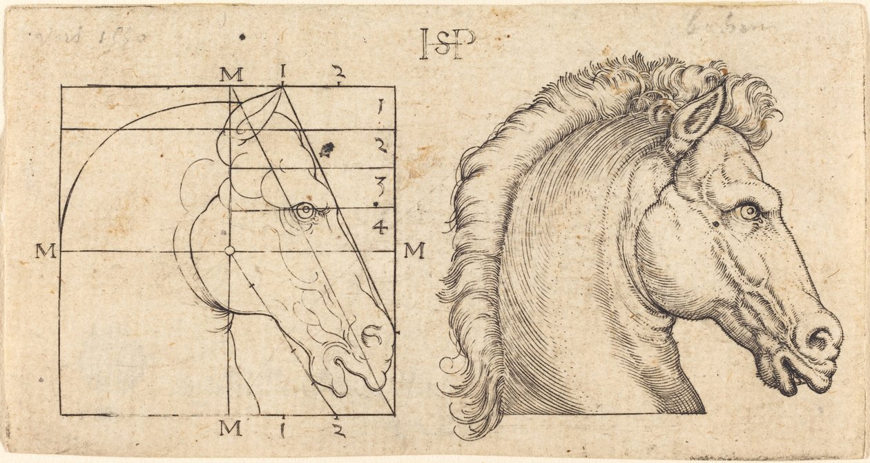 To Hestehoveder af Sebald Beham