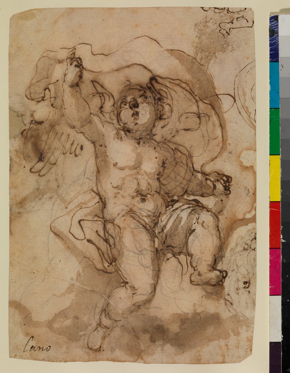 Putto på en sky (recto) af Sebastian (attr.to) Munoz