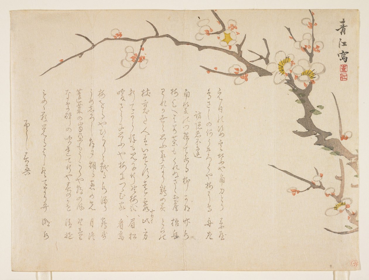 Blomstrende blomme, januar 1837 (træbloktryk i farver) af Seik Hashimoto