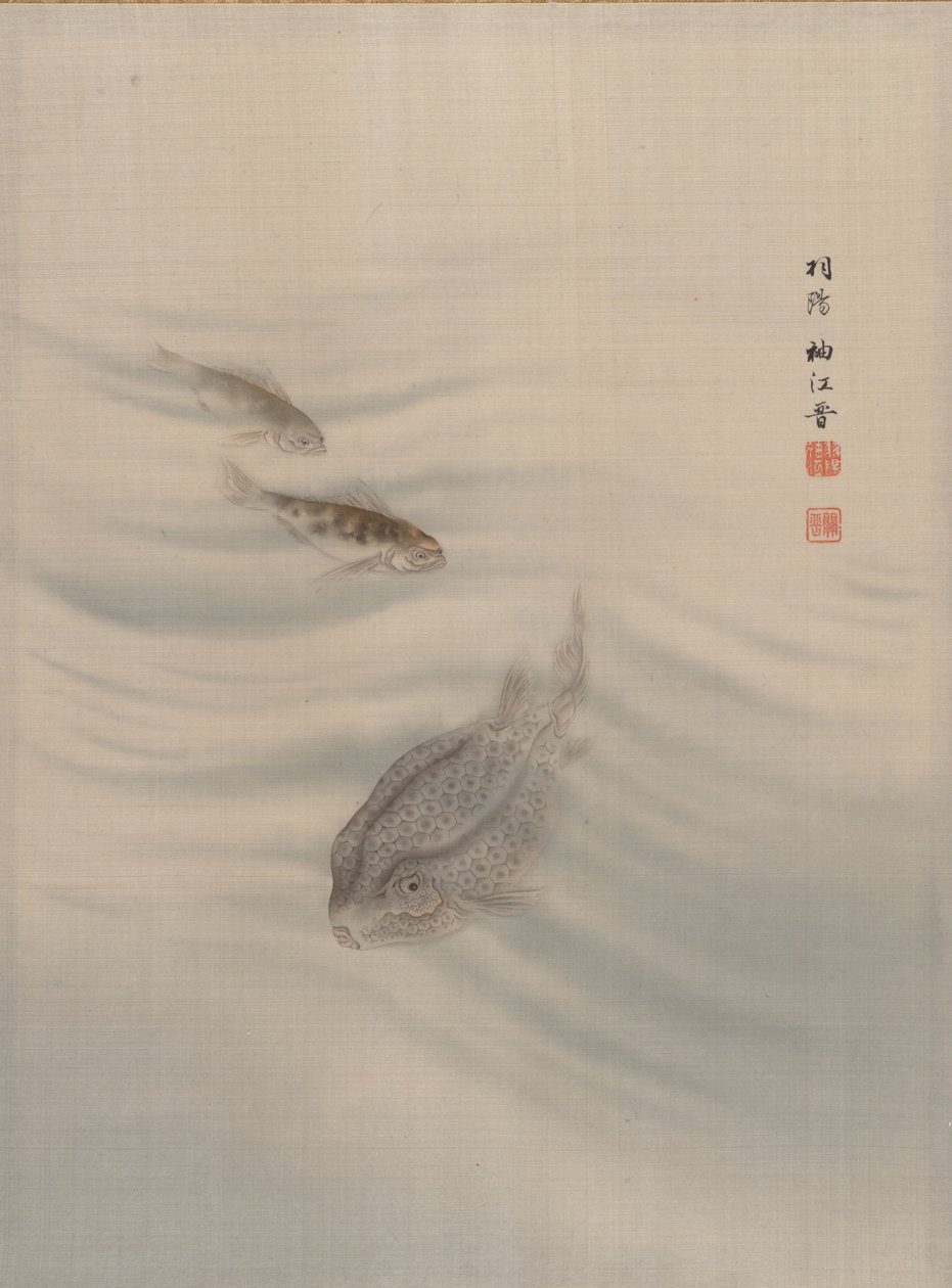 Fisk, ca. 1890-92. af Seki Shuko
