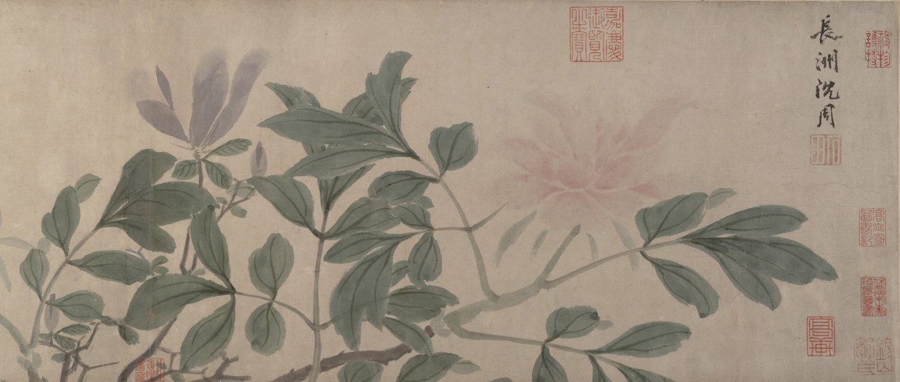 Blomster af de fire årstider. af Shen Zhou
